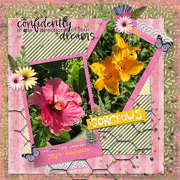 PBP-SpeedScrap3722-2021Garden-WEB.jpg