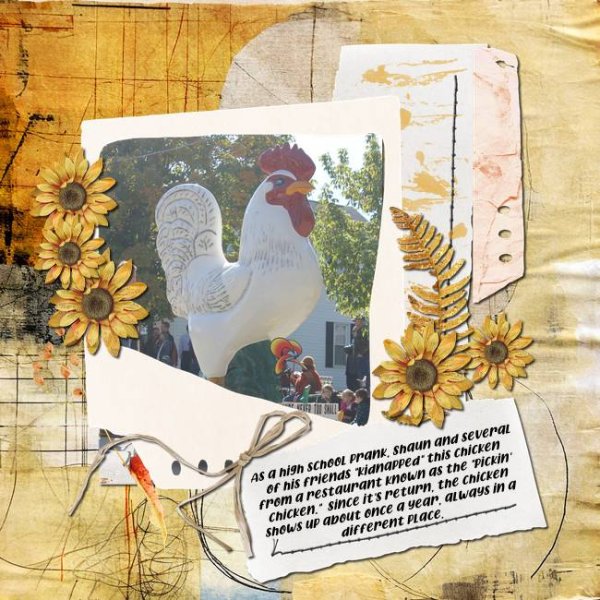 Pickin Chicken