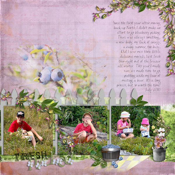 picking blueberries