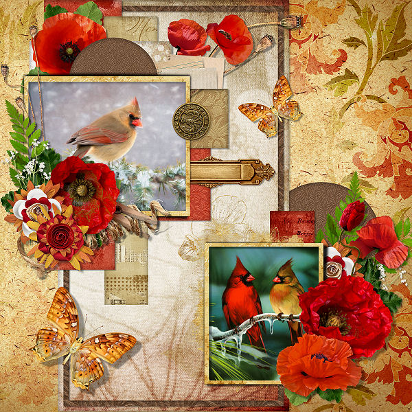 Poppythorn Lane by Booland Designs