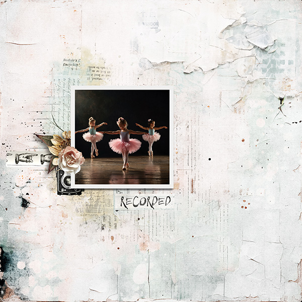 pp 2025 09 record.jpg
