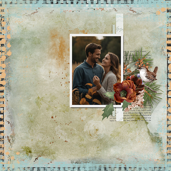 pp 2026 02 close.jpg