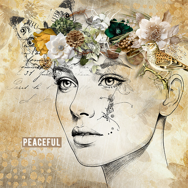 pp 2026 04 face the art.jpg