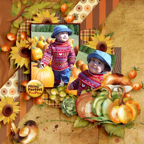pumpkin-patch-paty-grief-Mi