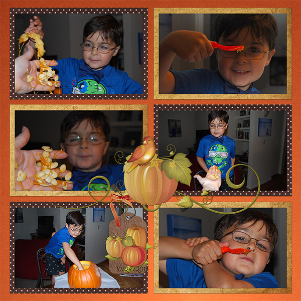 Pumpkin Patch