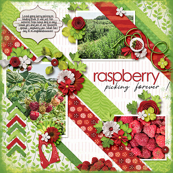 Raspberry Picking Forever