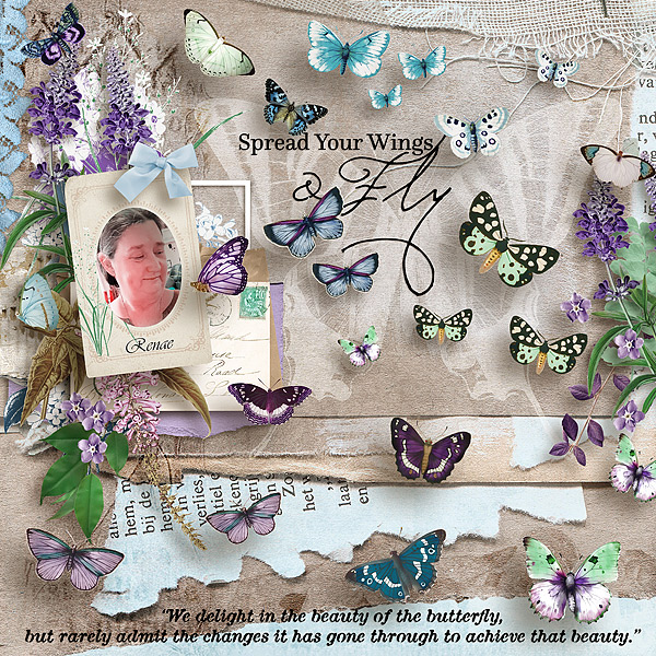 Renae---butterflies