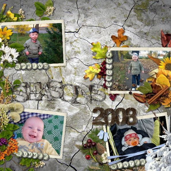 Seasons 2008