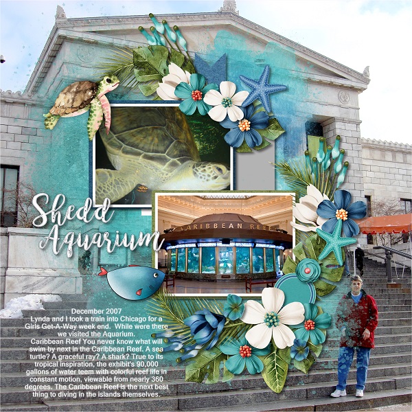 Shedd Aquarium
