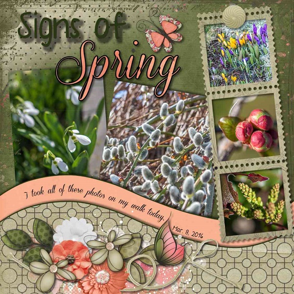 Signs of Spring