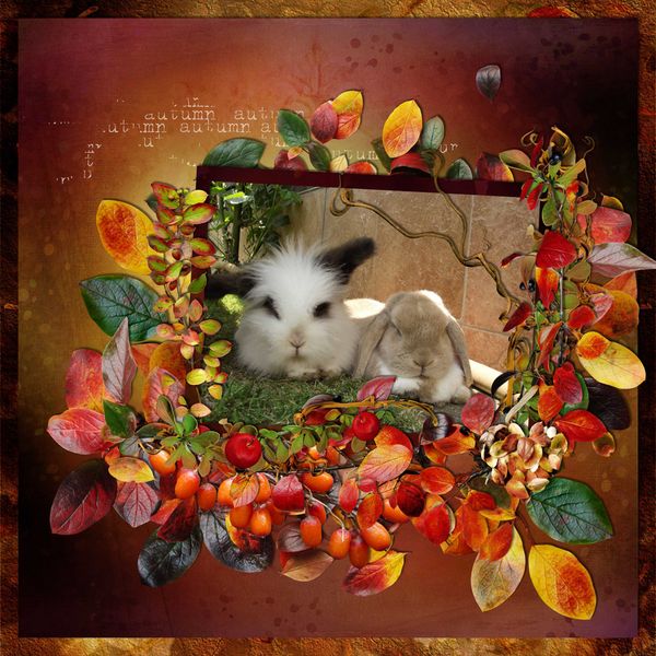 Snoopy&amp;Tassilo - RAK for Lexi