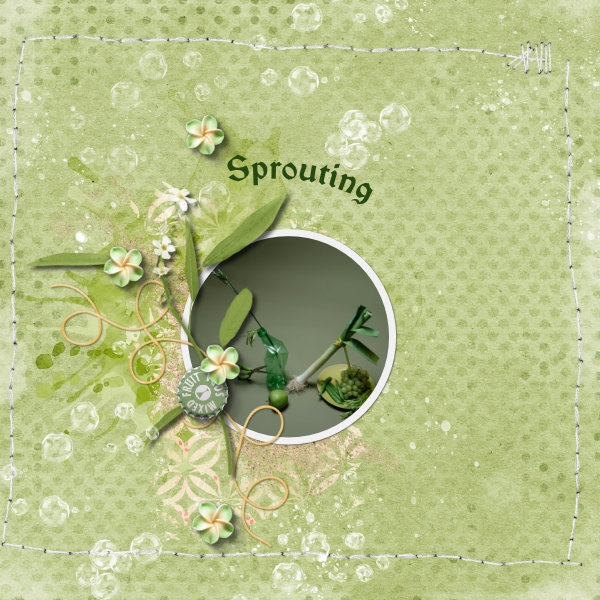 Sprout