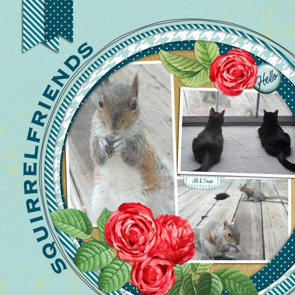 Squirrelfriends
