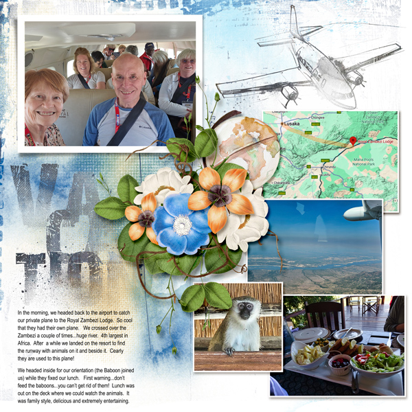 Story-Flight-to-Royal-Zambini-Lodge.jpg