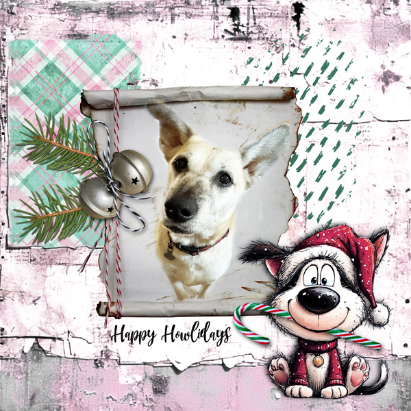 STUFF YOUR STOCKINGS_Dec_janisn.jpg