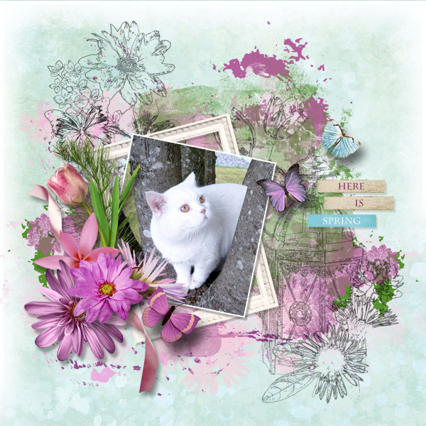 Suddenly de Simplette sortie 11 mars-WA du kit-photo perso.jpg