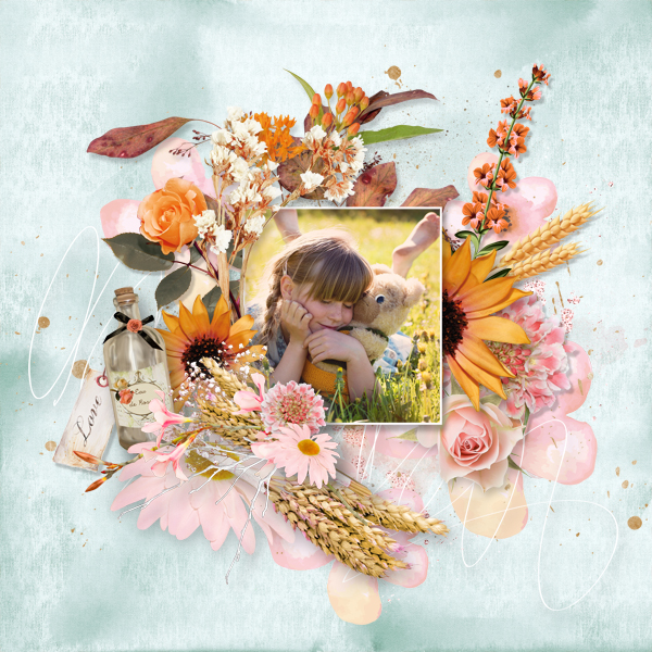 Summer bath de falango sortie 16 juillet-photo Pixabay de Pezibbear.jpg