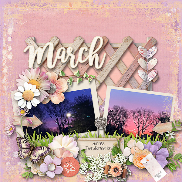 Sunrise Transformation in March