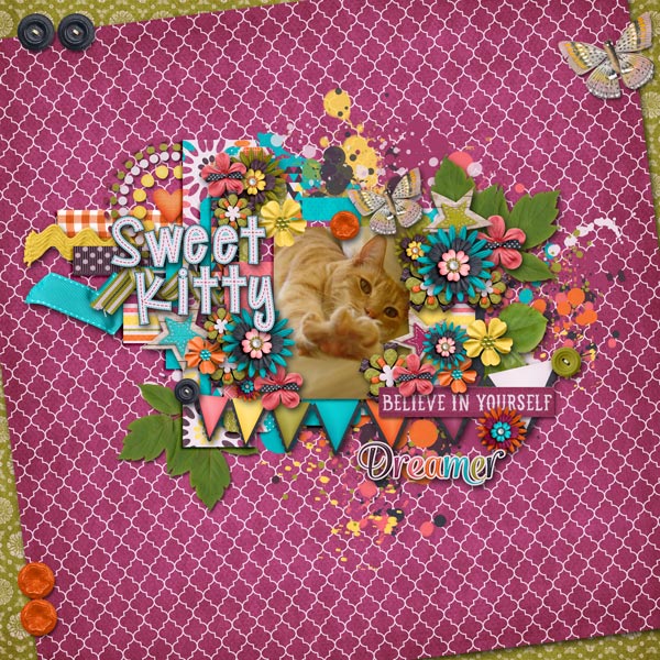 Sweet Kitty