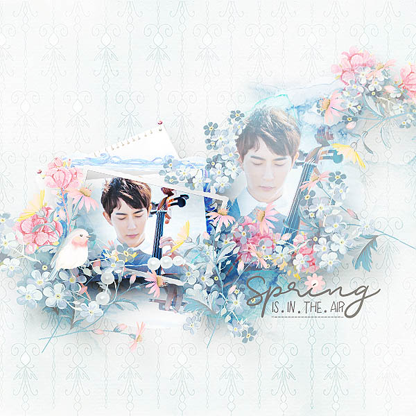 The beauty of the show