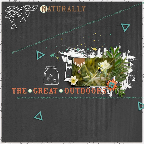 The Great Outdoor