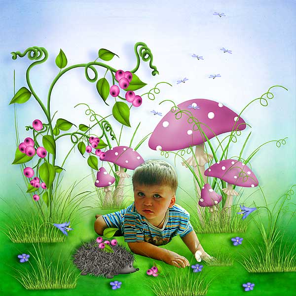 The meadow