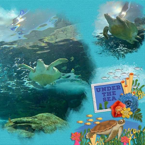 Under the Sea