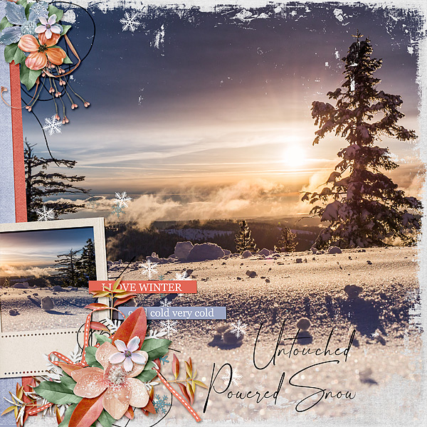 Untouched Powered Snow