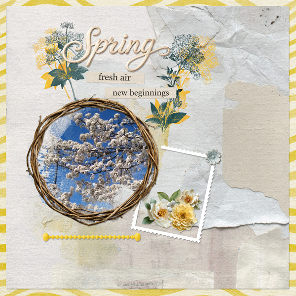 Use It All Challenge