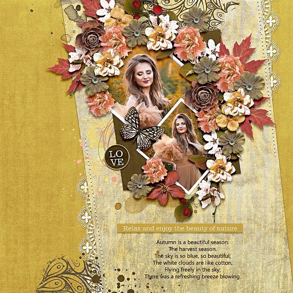 Walk In The Woods: BBD Bundle