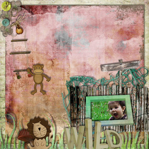 Way Out Wild