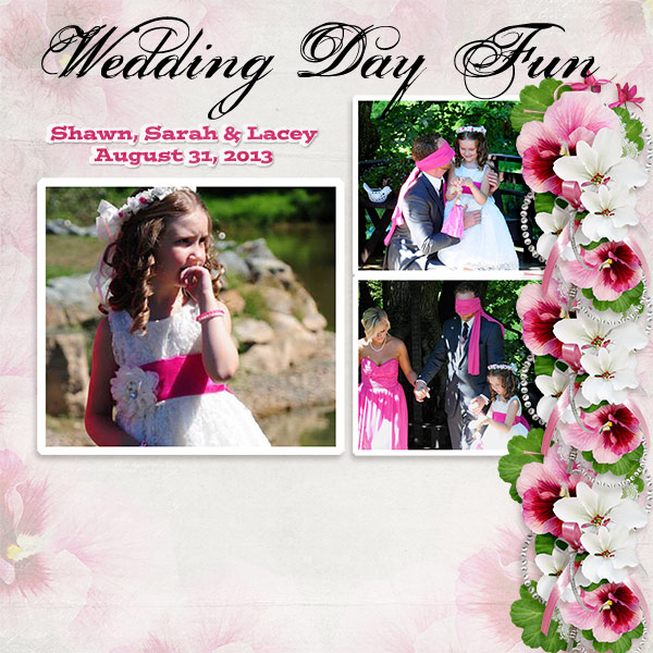 WeddingDayFun