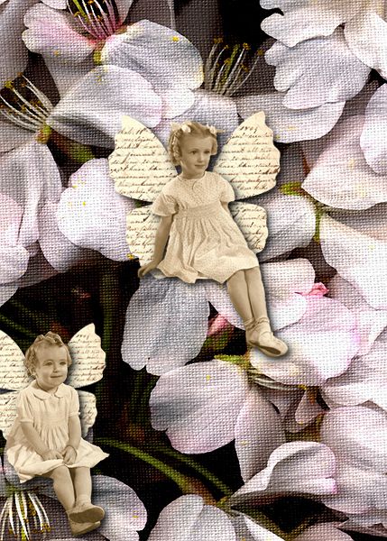 Wee Fairies
