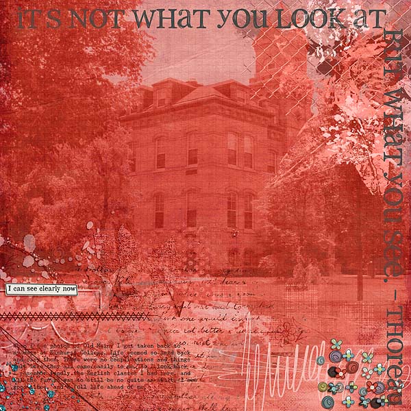 What You Look At
