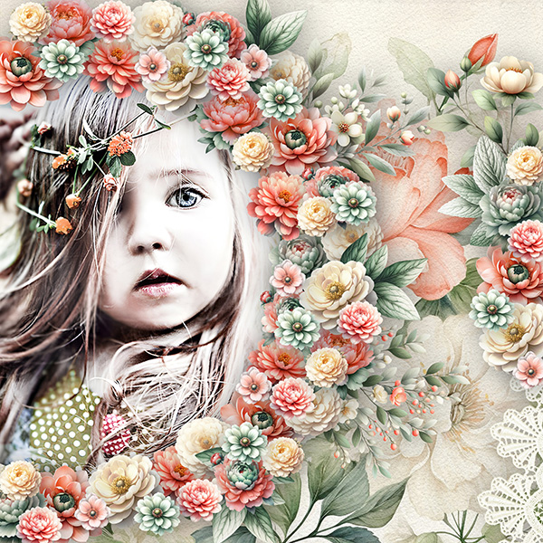 Where Have All The Flowers Gone