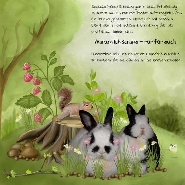 Why I scrap - only for you