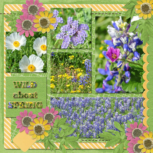 Wild About Spring