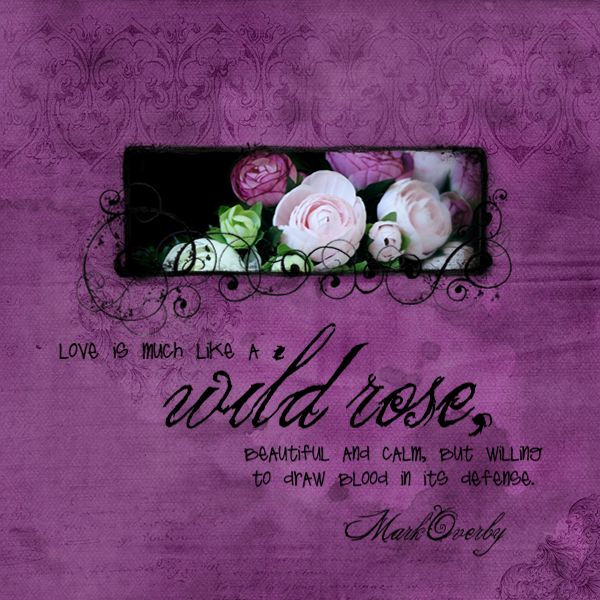 Wild Rose