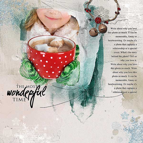 Winter Berry