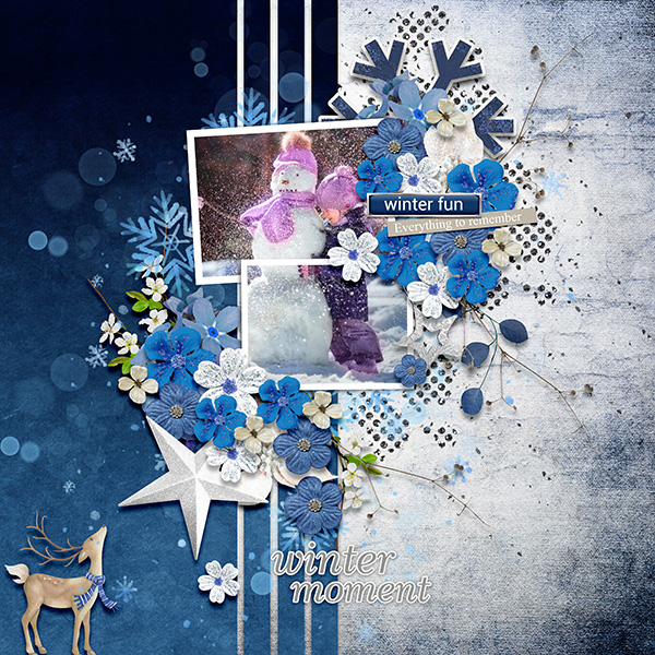 Winter-Moment.jpg
