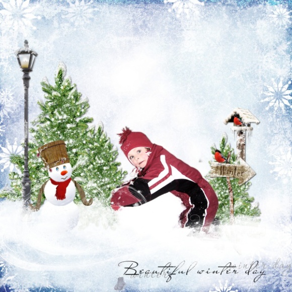 winter story