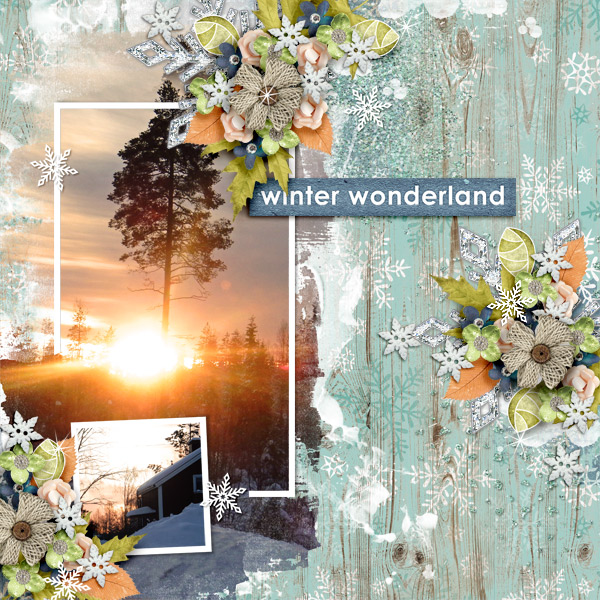 Winter-wonderland5