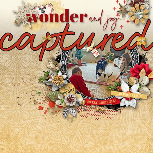 Wonder and Joy Captured in 2024