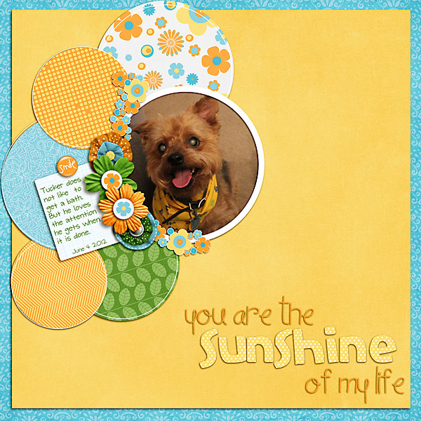 You are the Sunshine of my life.